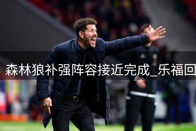 森林狼补强阵容接近完成 乐福回归传闻引热议