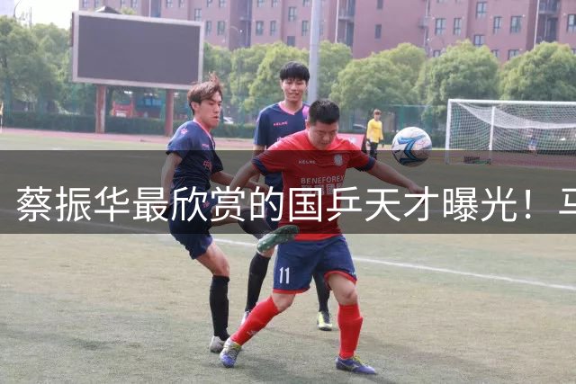 蔡振华最欣赏的国乒天才曝光！马龙樊振东竟非首选