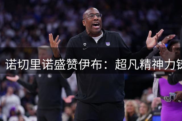 诺切里诺盛赞伊布：超凡精神力铸就传奇生涯